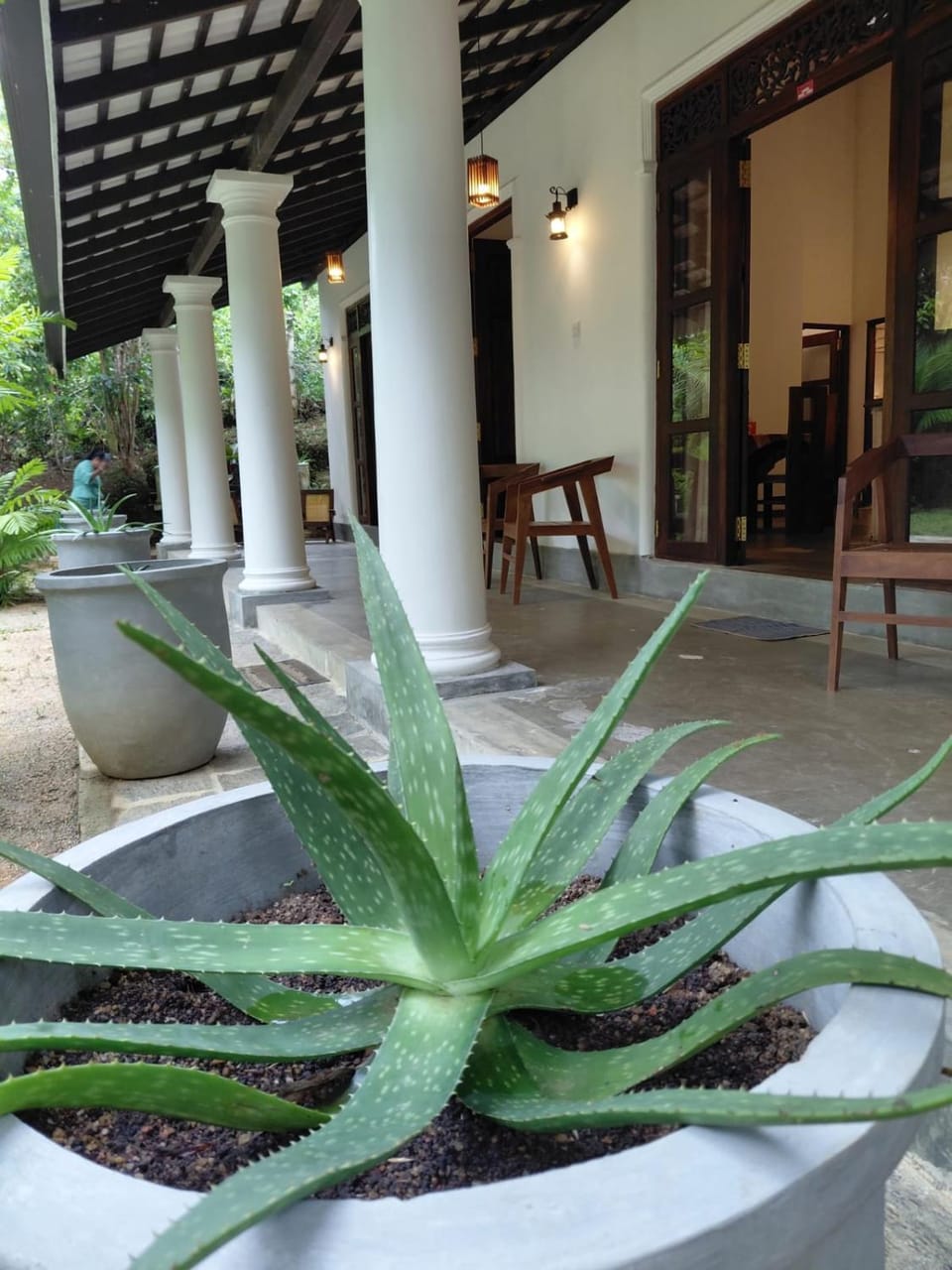 Patio, Day, Garden, Garden, Garden view