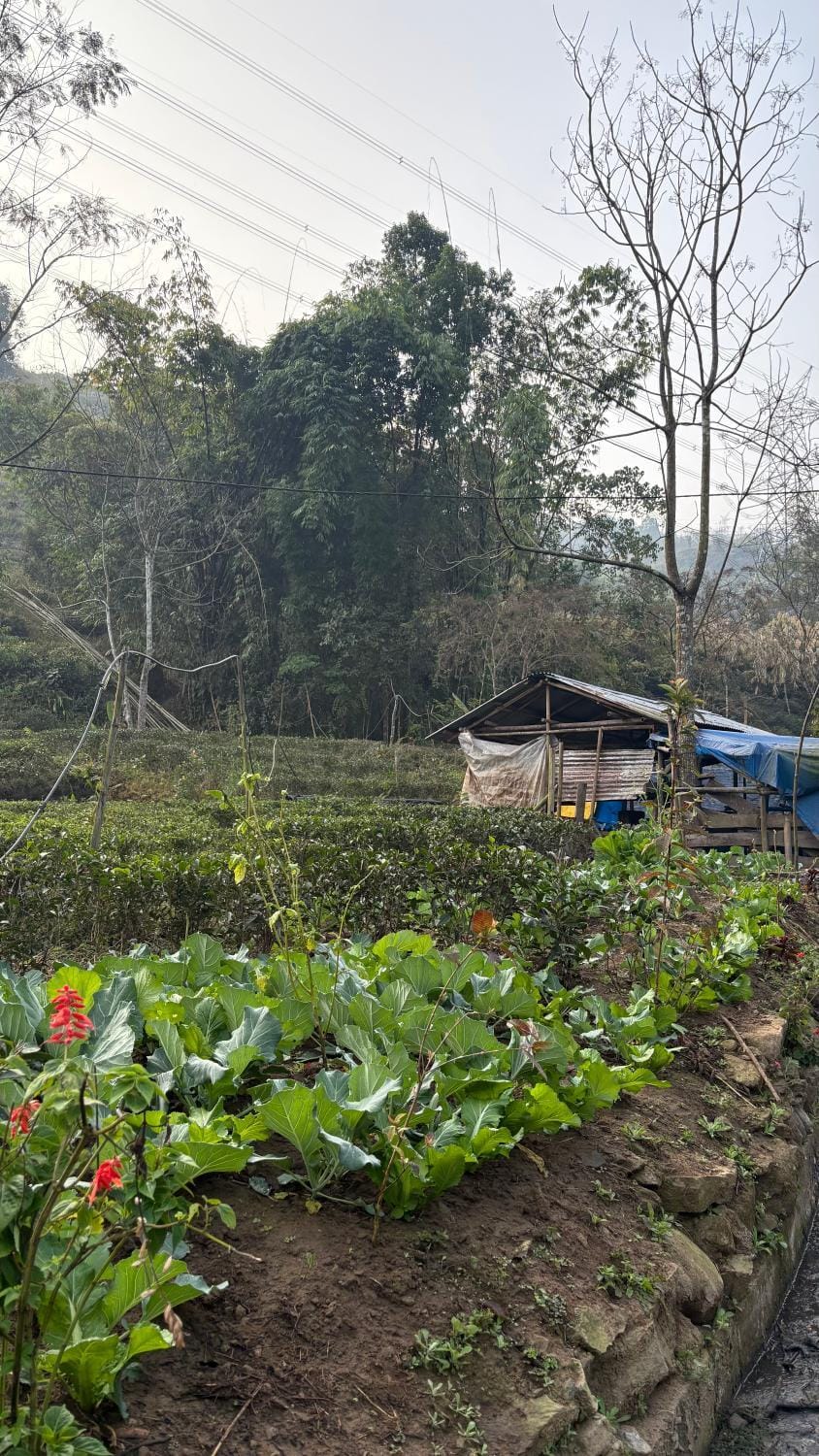 Chotlung BNB Vacation rental in West Bengal