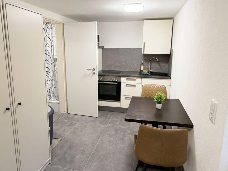 Kitchen or kitchenette, Dining area, oven, stove