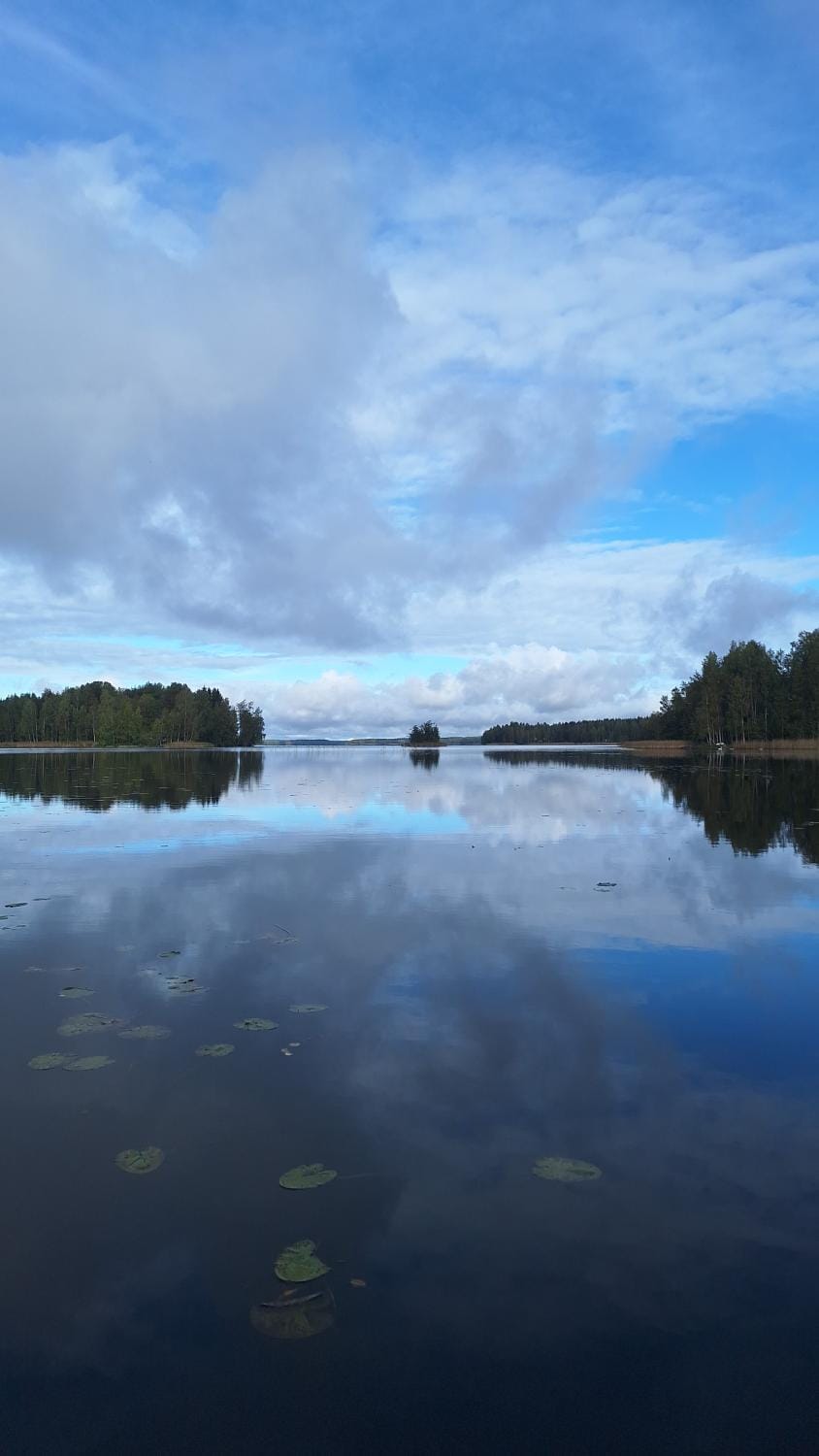 Lake view