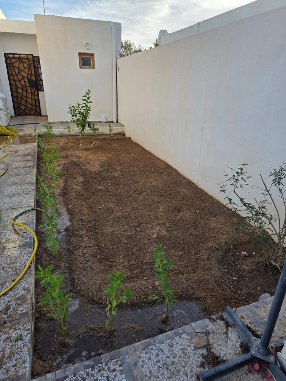 Jasmina villa Villa in Tunisia
