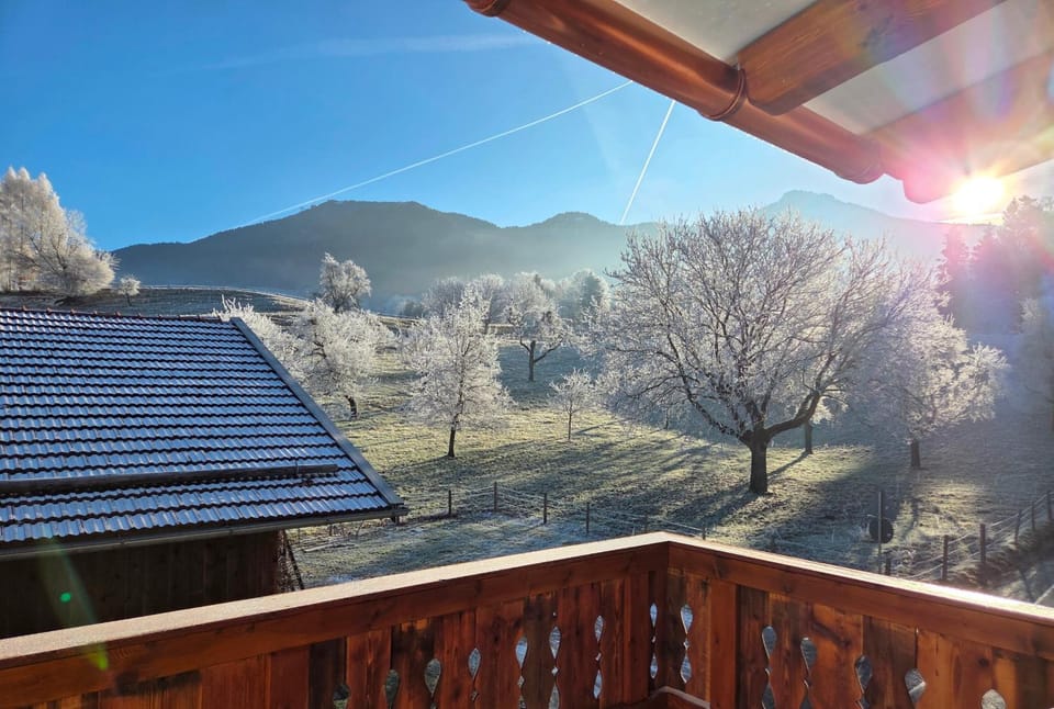 Fischerhof Samerberg - Auszeit mit Bergblick & Balkon Apartment in Bavaria
