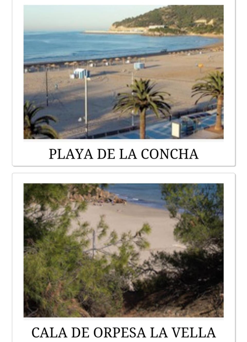Apartamentos Marina d'or Apartment in Valencian Community