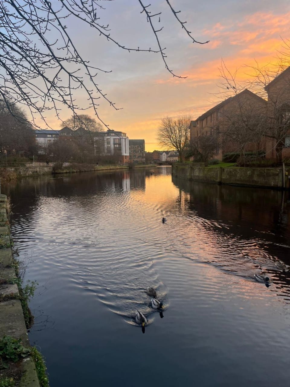 Cozy flat on the water of Leith Apartment in Edinburgh