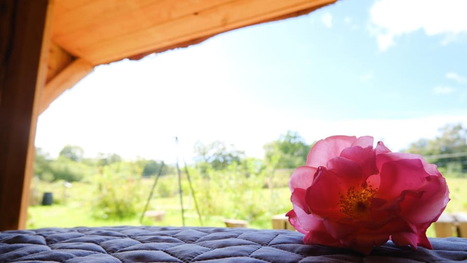 Shelter i sansehave Luxury tent in Zealand