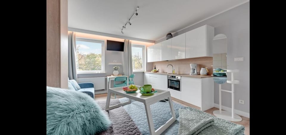 Platinium Siennicka Studio Apartment in Gdansk