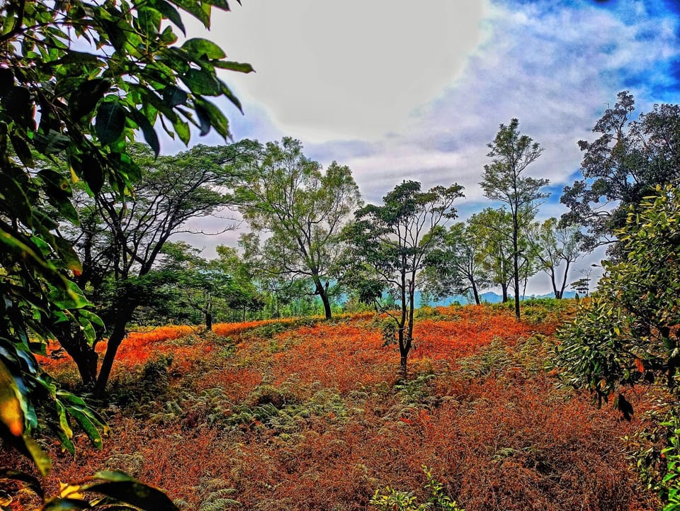 Heavenly nature's stay Coorg Vacation rental in Madikeri