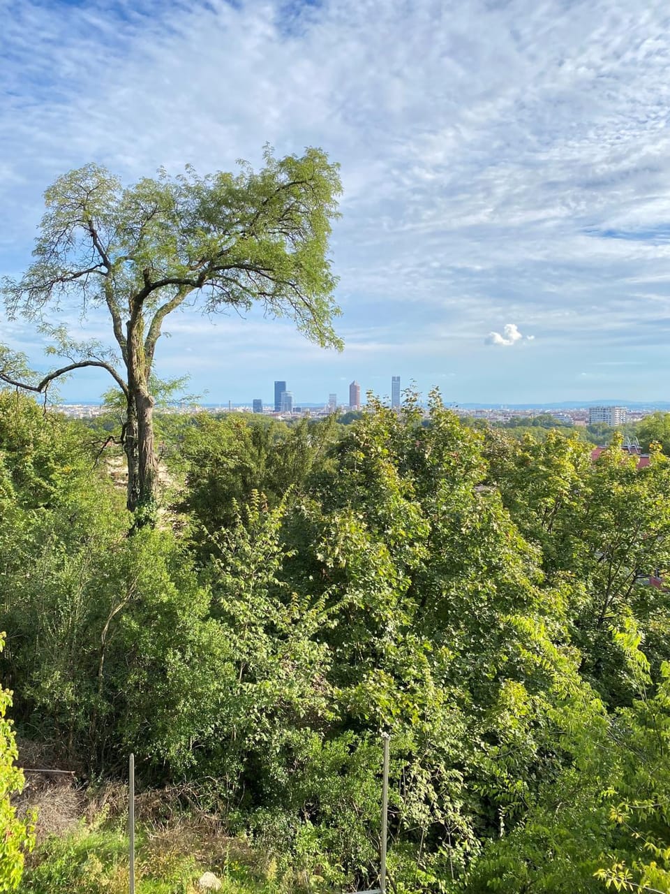 Maison bohème chic de 3 suites face à la cité internationale Villa in Caluire-et-Cuire