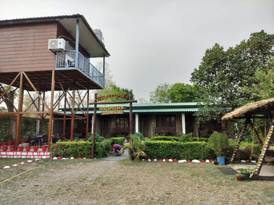 Property building, Spring, Day, Garden, Garden view