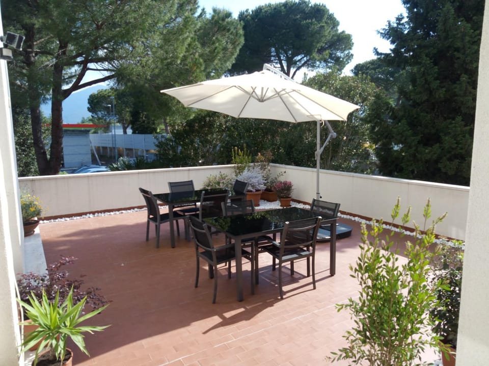 Summer, Garden, Balcony/Terrace
