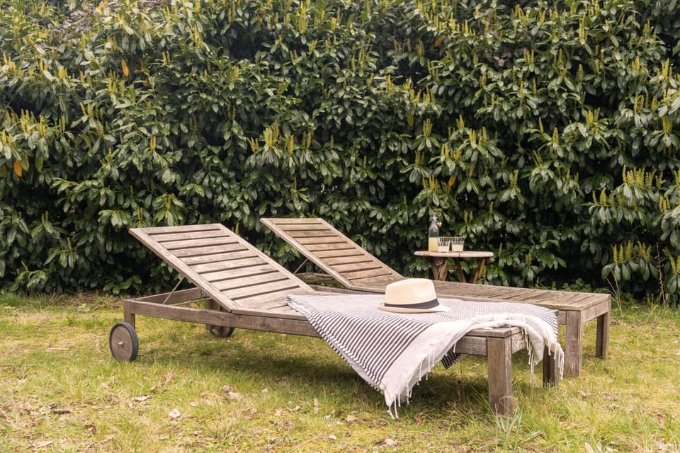 Garden, Garden, sunbed