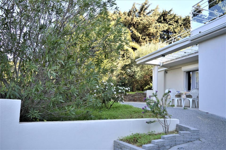 Day, Garden, Garden view