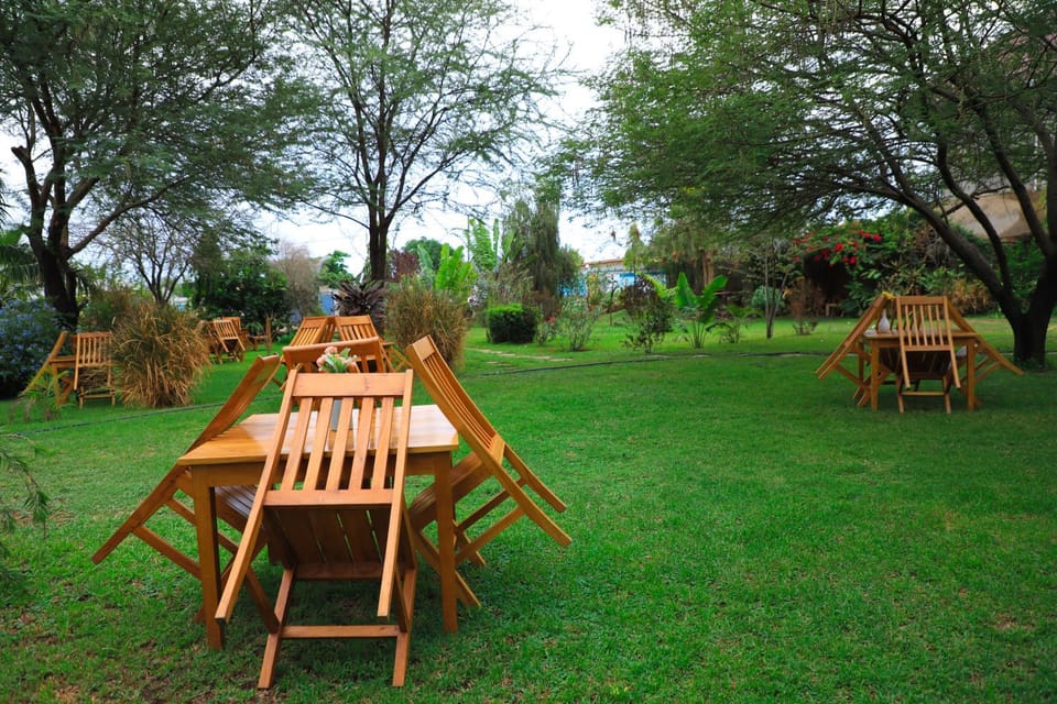Garden view
