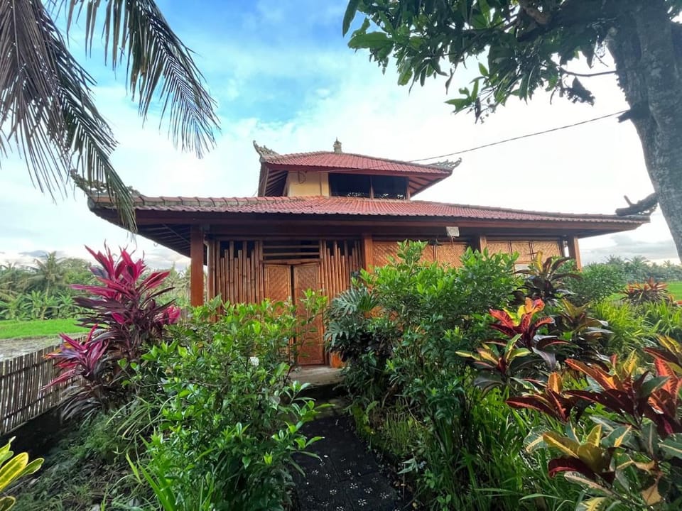 Cacao Bamboo House Apartment in Kerambitan