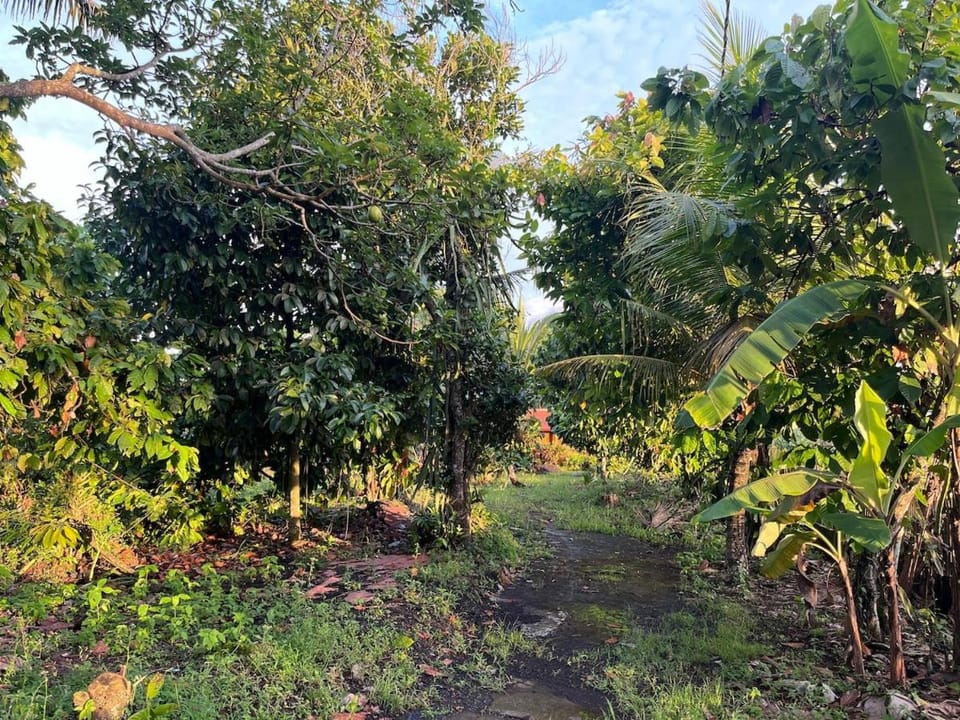 Cacao Bamboo House Apartment in Kerambitan