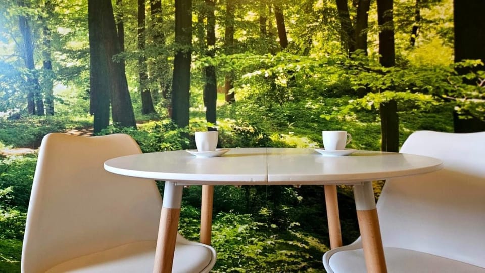 3611 HAUS HABRUCK Top 1 C Apartment in Austria