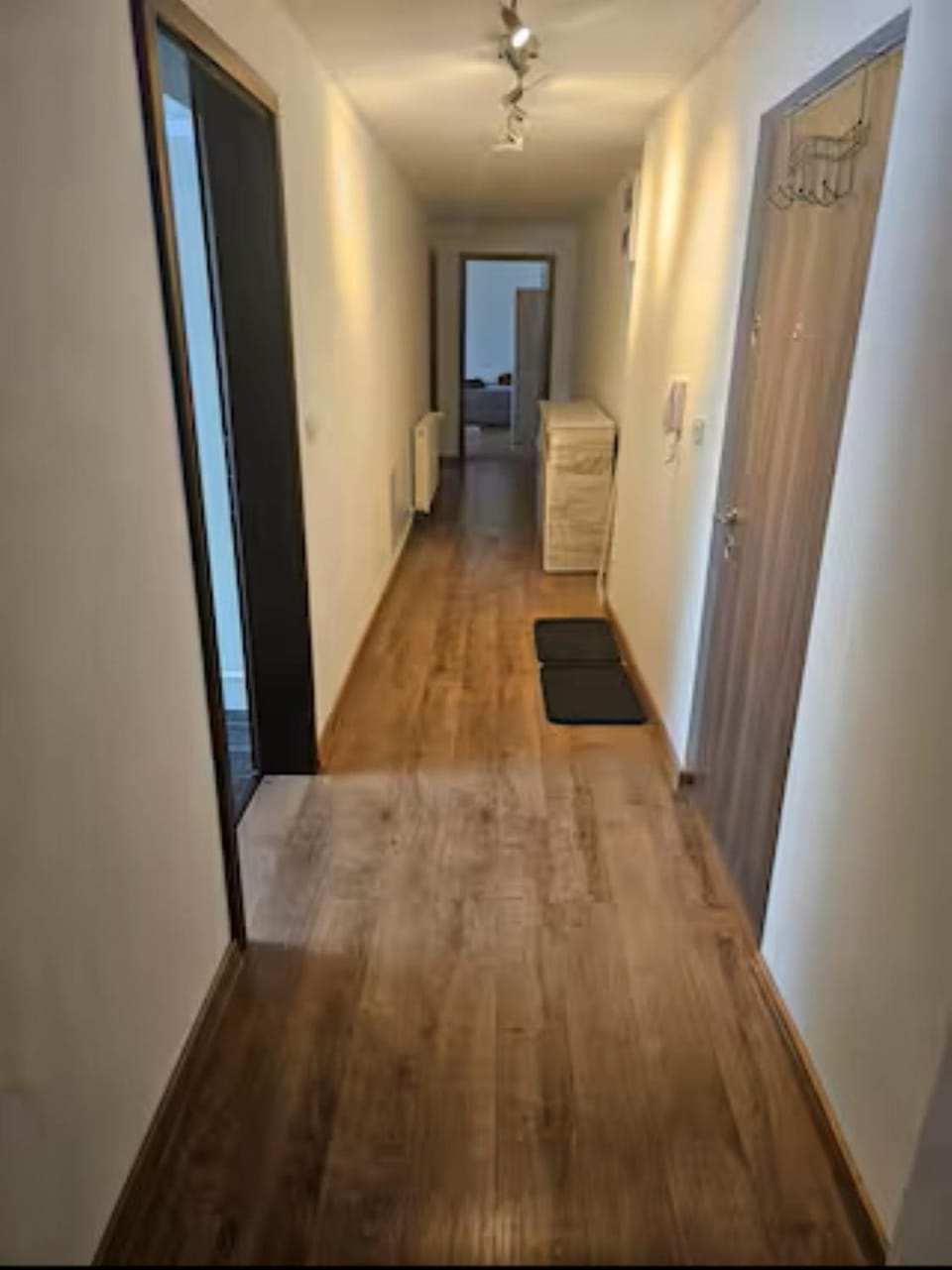 Schöne Vollausgestattete Monteurs- Gästewohnung in der Gartenstadt Leuna und nähe Geiseltalsee 2209 Apartment in Thuringia, Germany