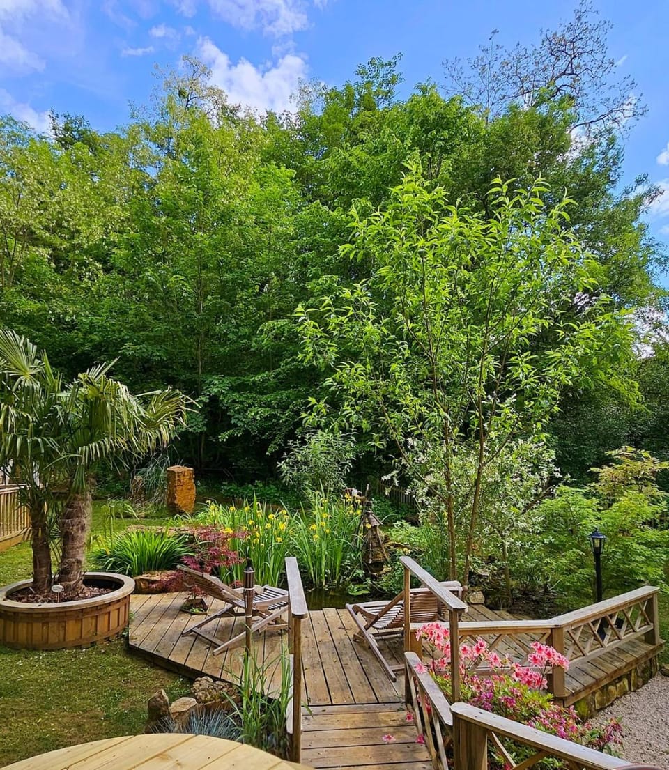 Natural landscape, Garden, Garden view