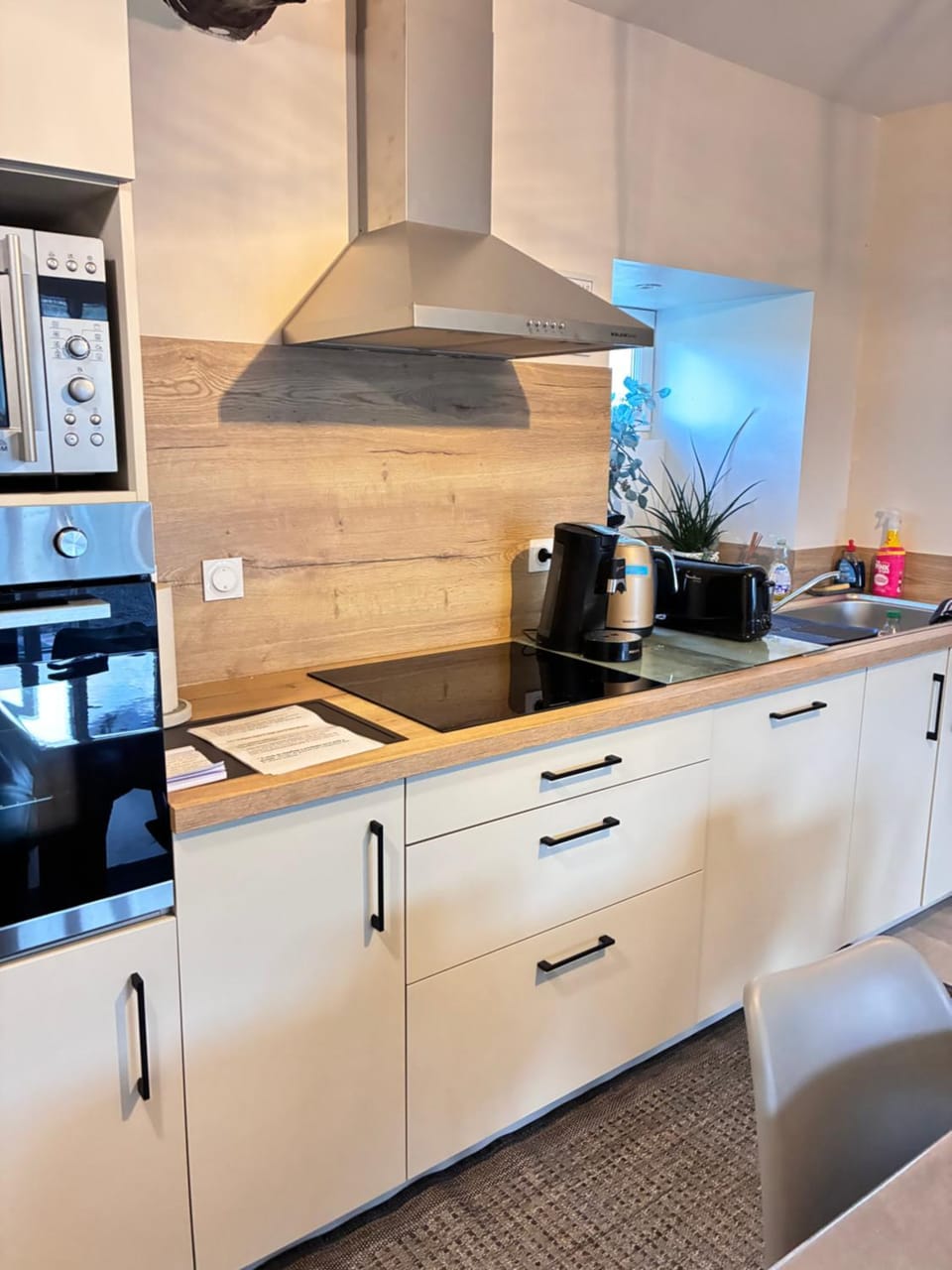 Kitchen or kitchenette, dishwasher, stove