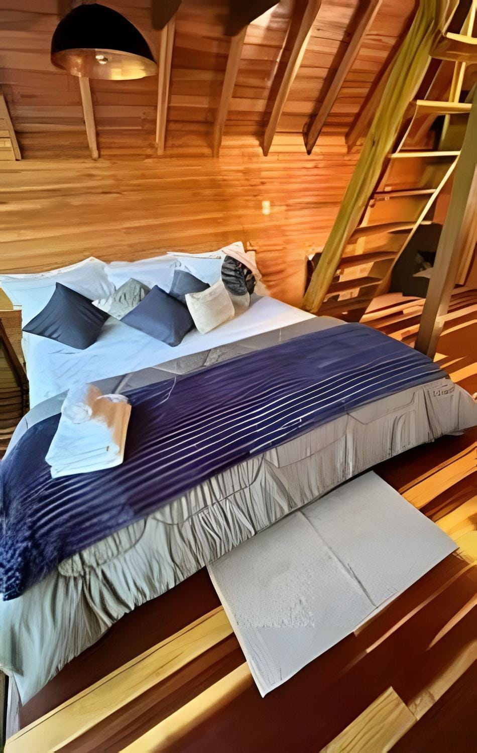 Cabana João de barro ecoparque águas brancas Apartment in State of Rio Grande do Sul