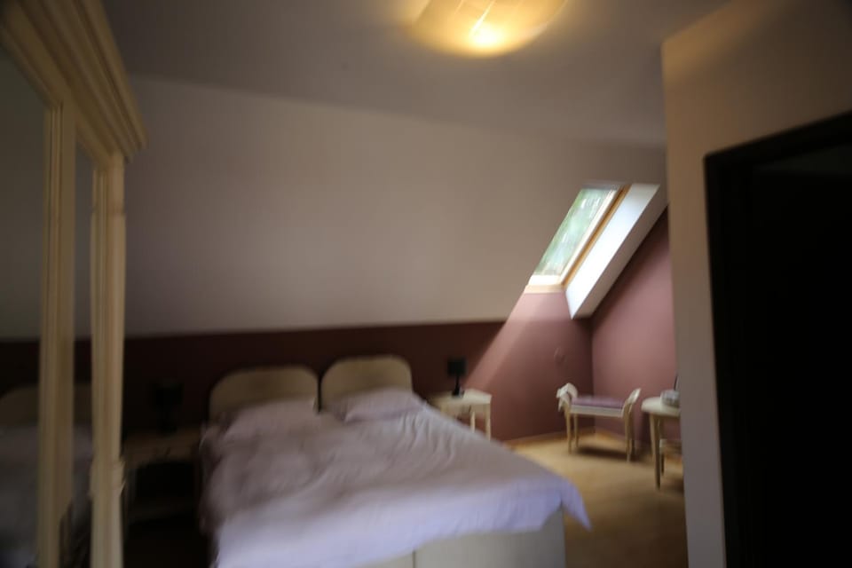 Transylvanian Nest Hotel in Brașov County
