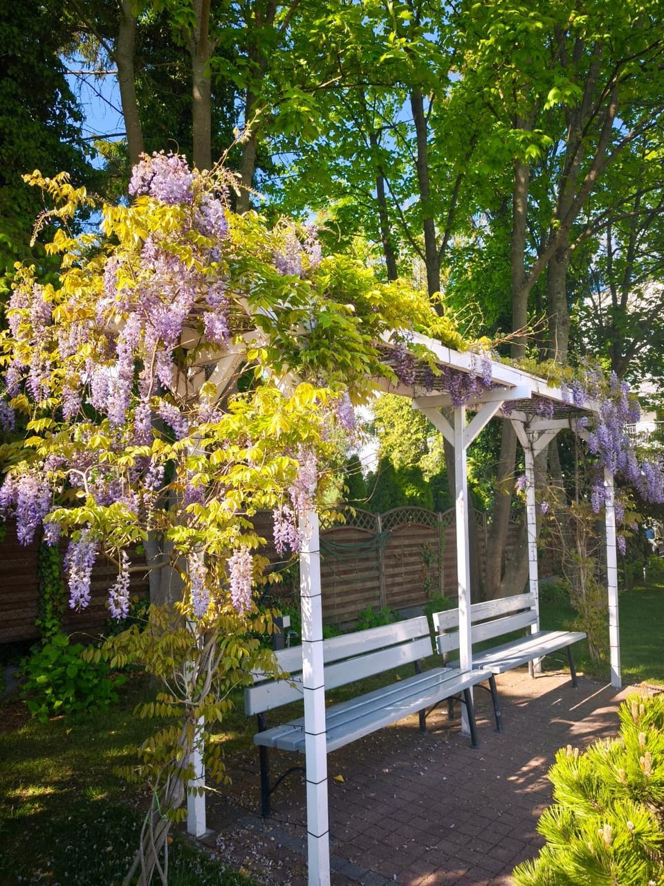Spring, Day, Natural landscape, Garden, Garden view