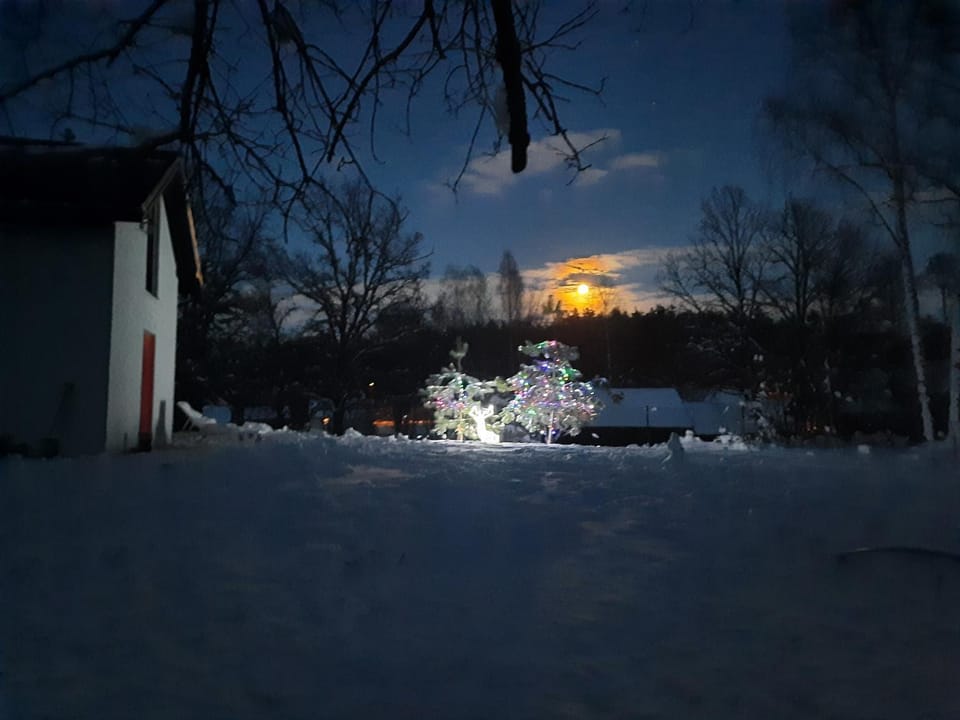 Winter