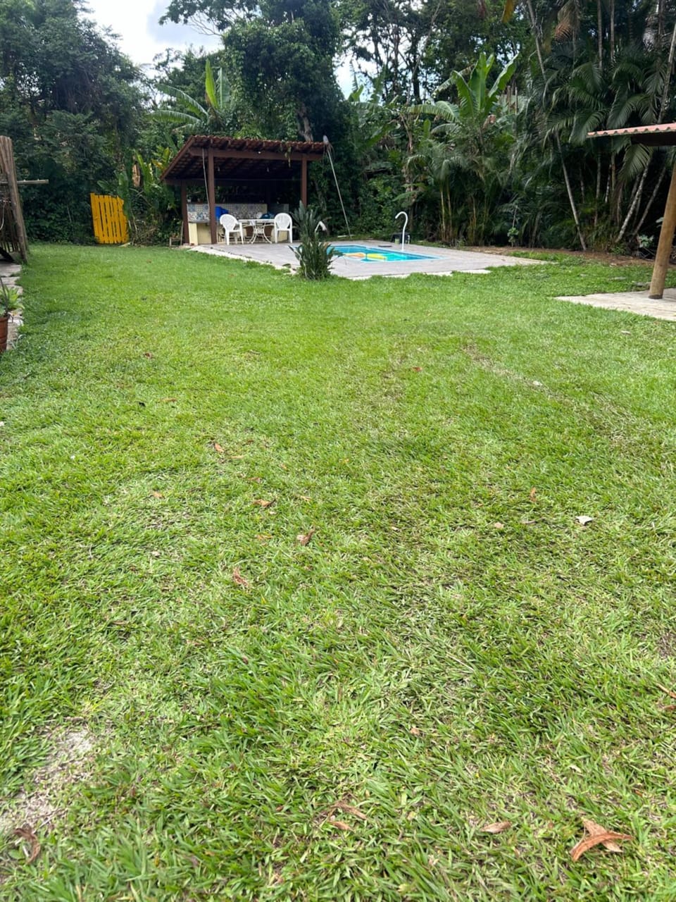 Garden, Swimming pool