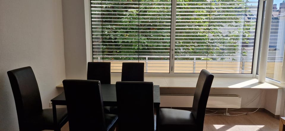 Schöne Monteurwohnung Fewo mit 6 Schlafzimmern im Zentrum von Bingen Apartment in Mainz-Bingen