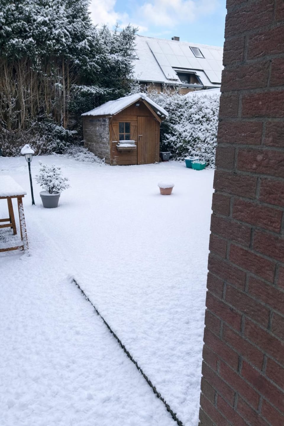 Winter