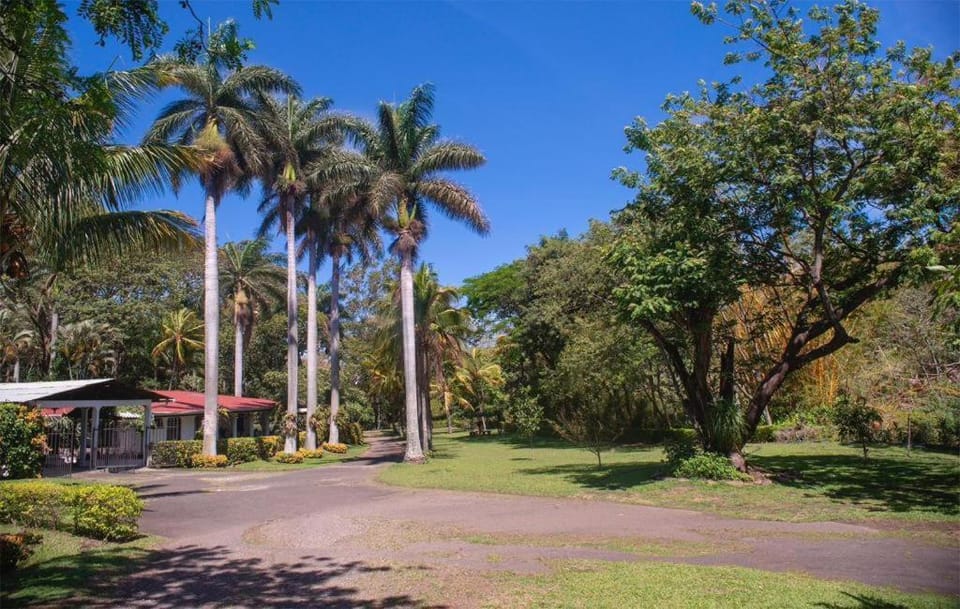 Green villa Villa in Heredia Province