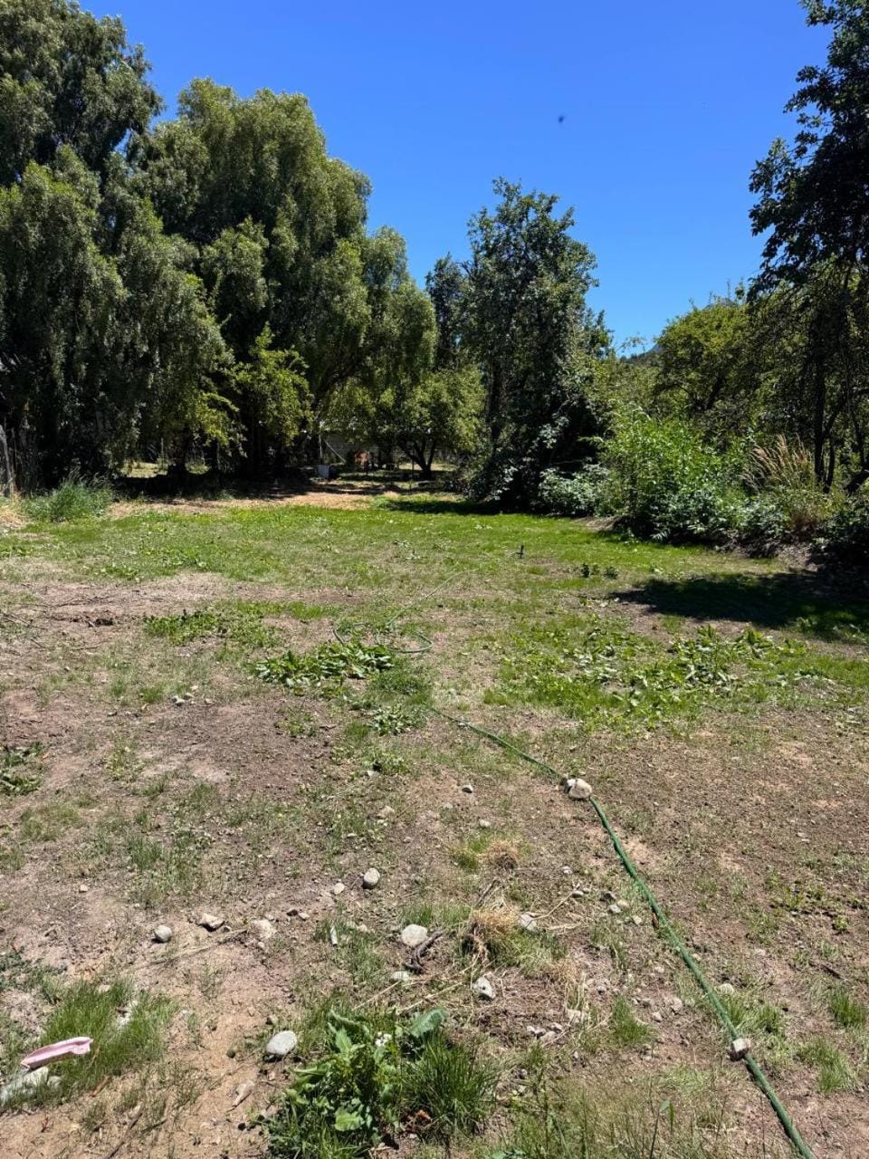 Patio, Garden