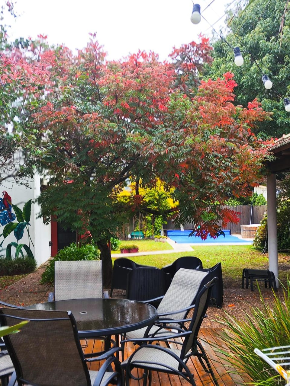 Colibrí- Alquiler Temporario City Bell Apartment in Buenos Aires Province