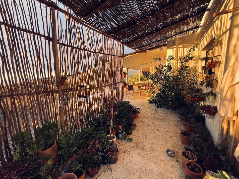Patio, Balcony/Terrace
