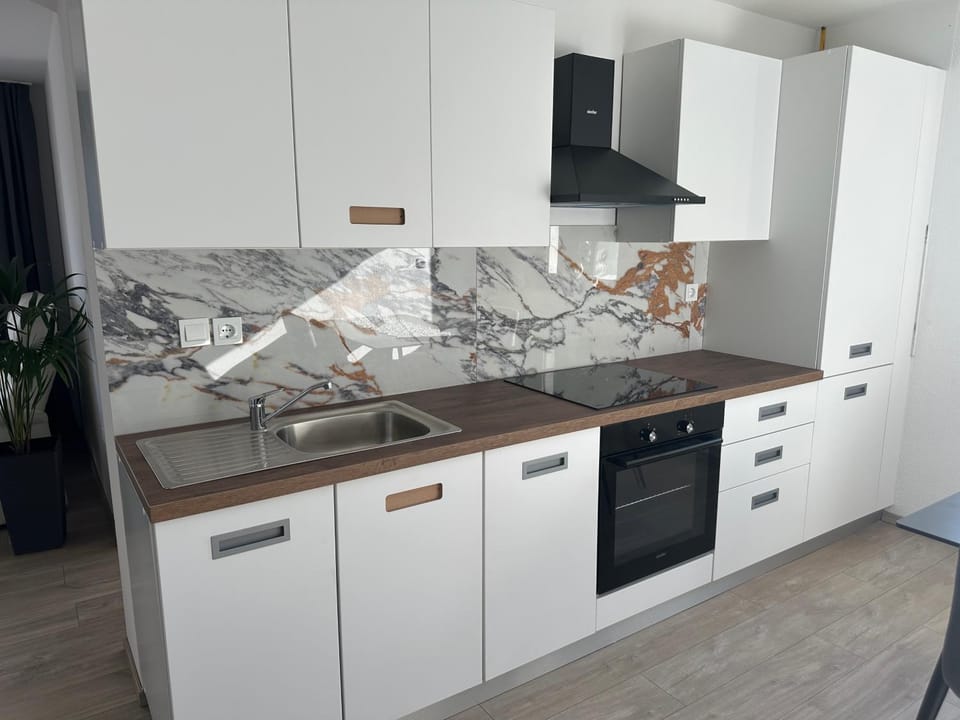 Kitchen or kitchenette, dishwasher, oven, stove