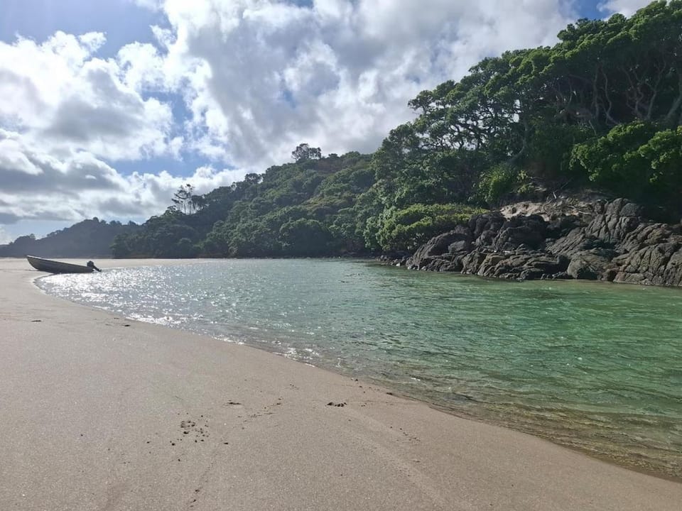 Ponga House - Kaitoke Waters House in Auckland Region