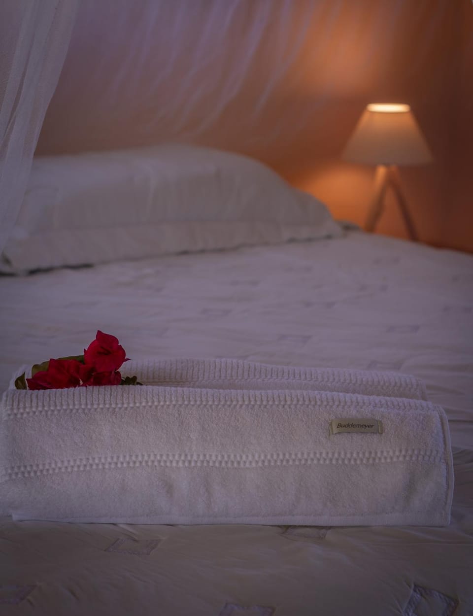 Bed, towels