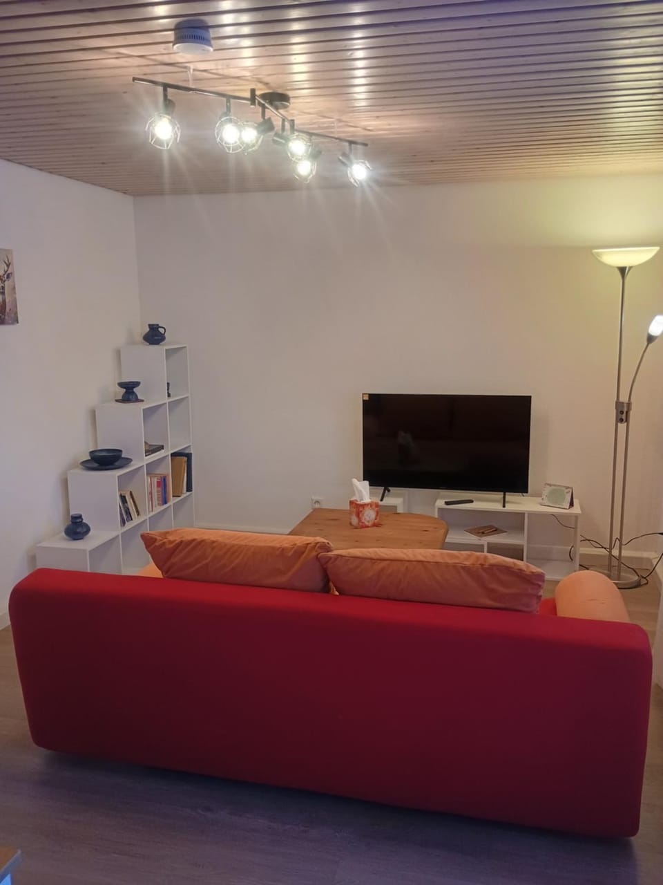 TV and multimedia, Living room