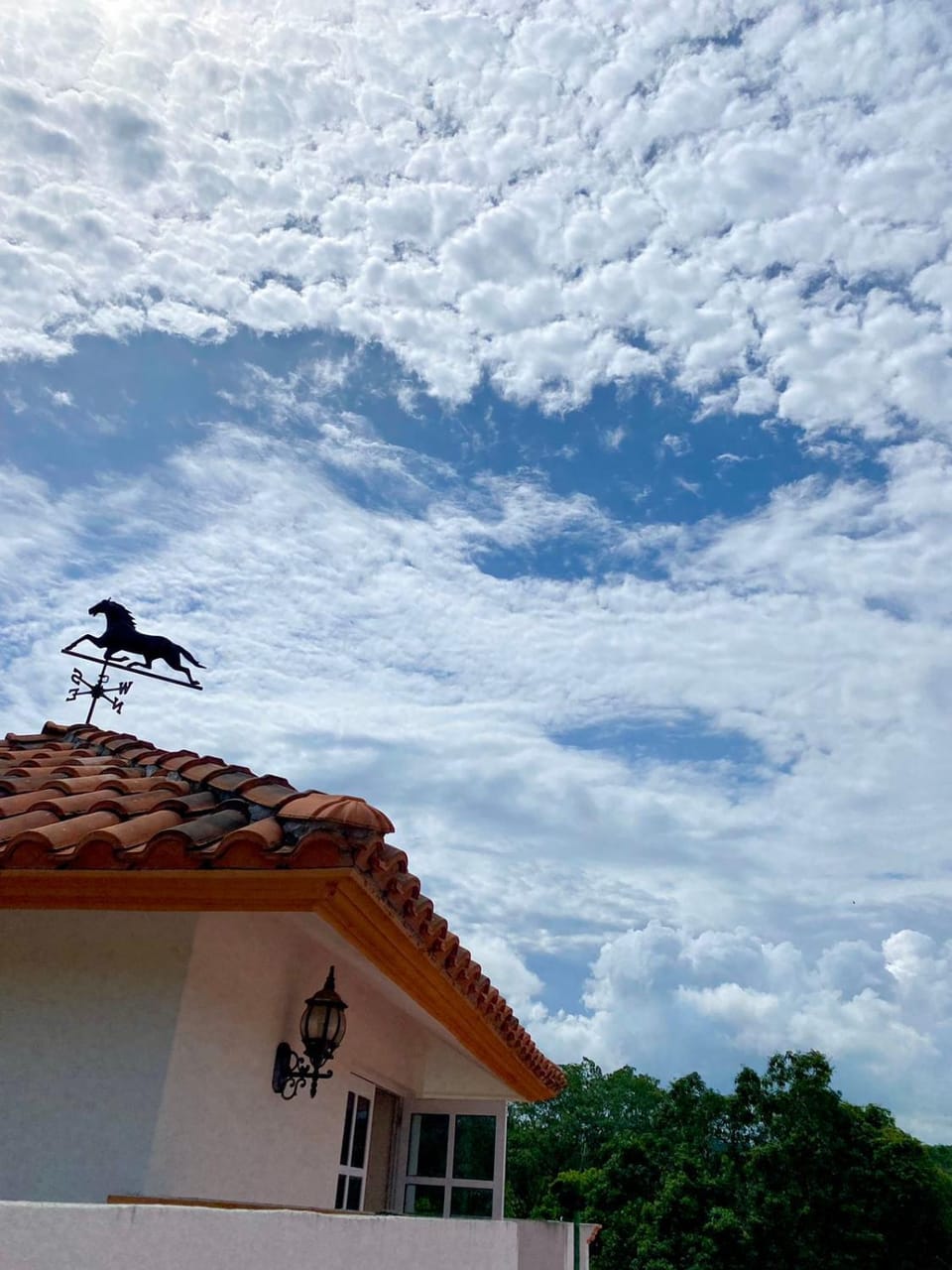 Casa rancho House in State of Oaxaca