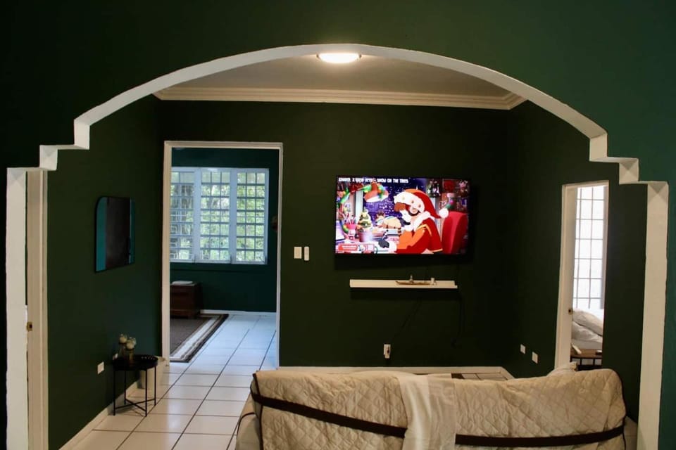 Vintage Charm PatioLushBedsCentral1GWasherDry Apartment in San Juan