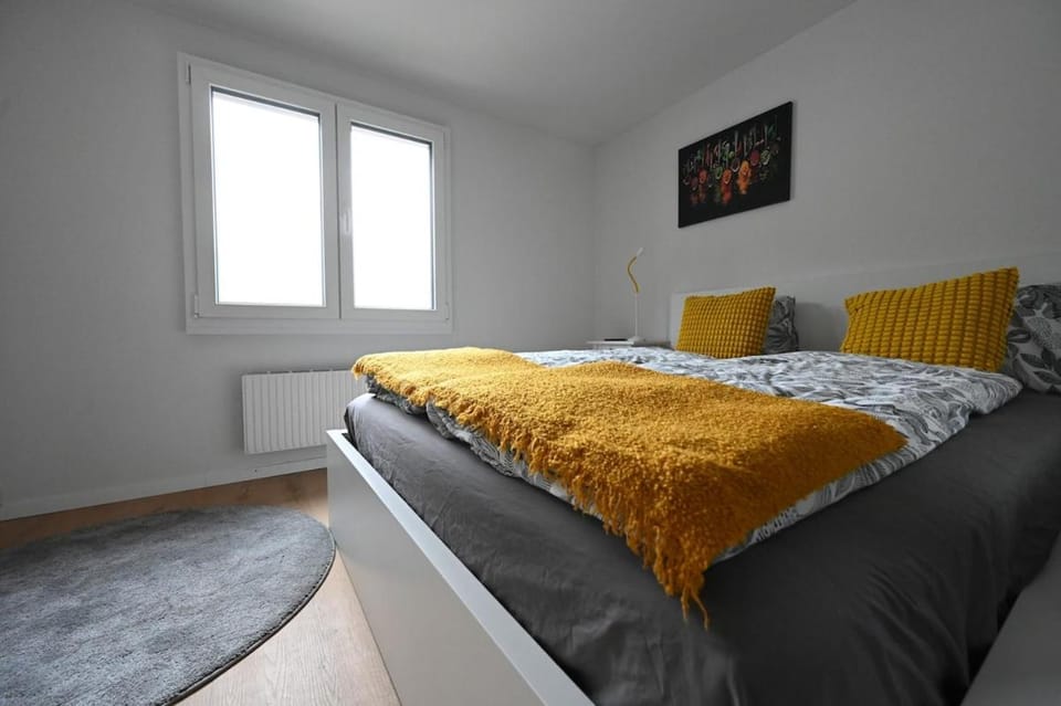 Sunny Renovated Alpine Apartment by Interlaken Apartment in Canton of Valais