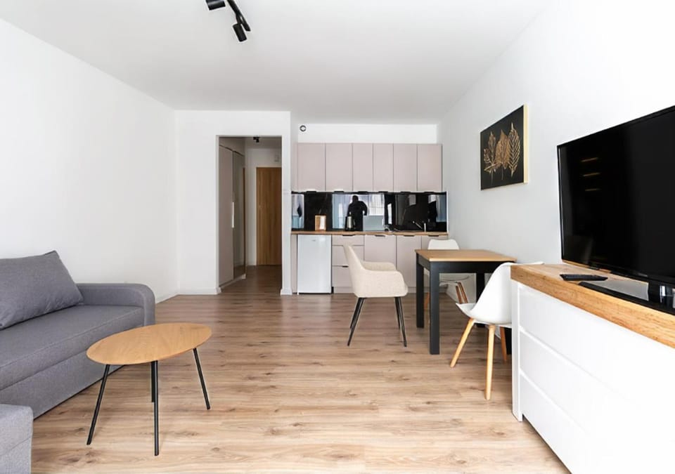 TV and multimedia, Kitchen or kitchenette, Living room, Seating area, Dining area