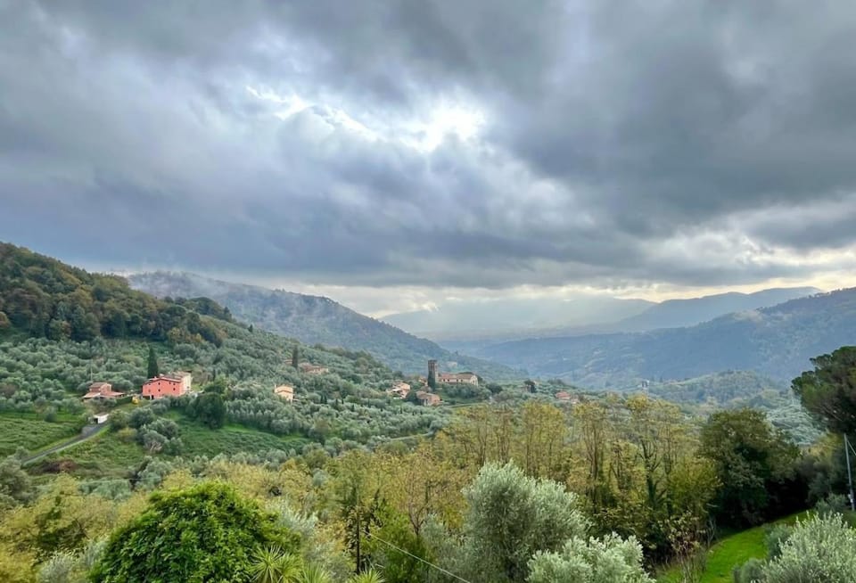 Bird's eye view, Garden, View (from property/room)