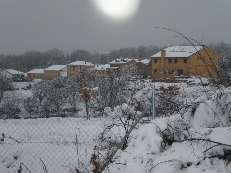 Winter