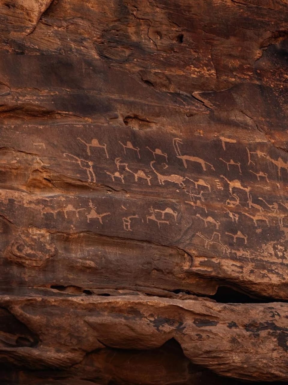 Wadi Rum Moon Light Luxury tent in South District