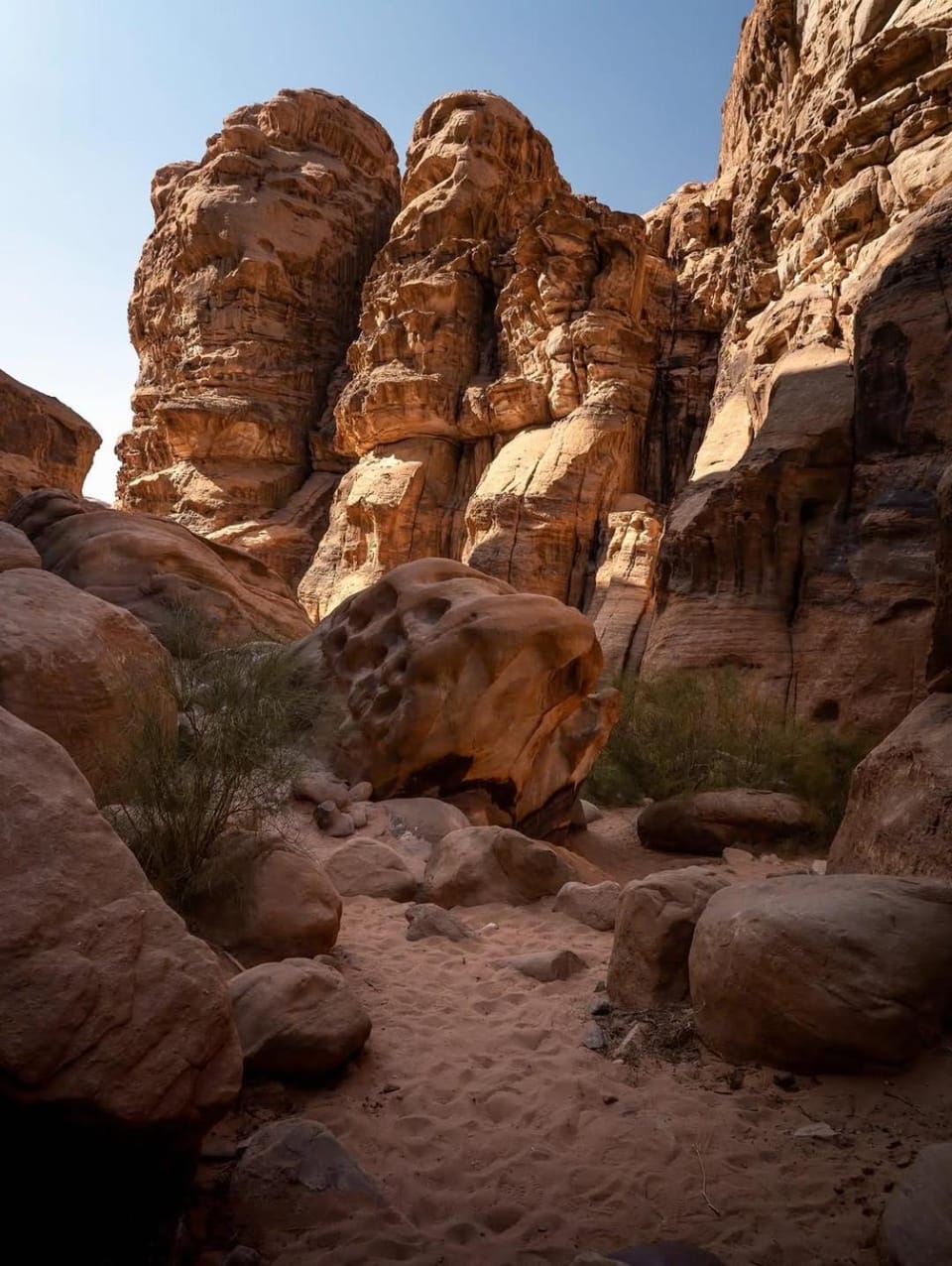 Wadi Rum Moon Light Luxury tent in South District