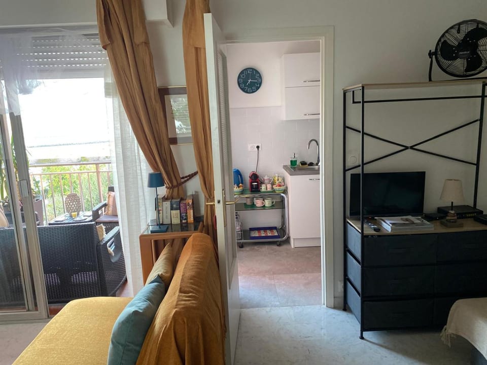 Appartamento Fronte Mare con Terrazza McGregor's Seaview Apartment in Roquebrune-Cap-Martin