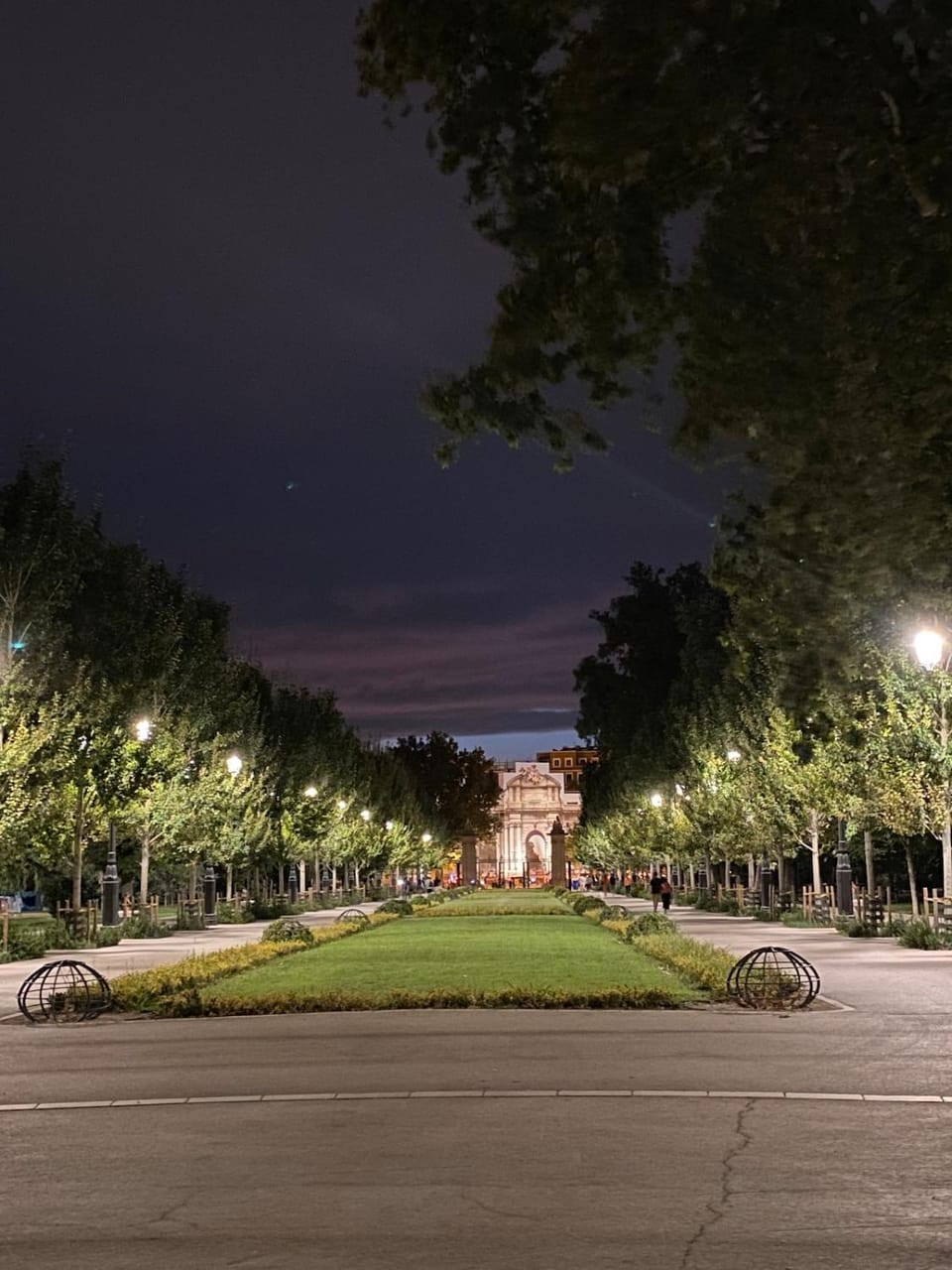 Spring, Night, Natural landscape