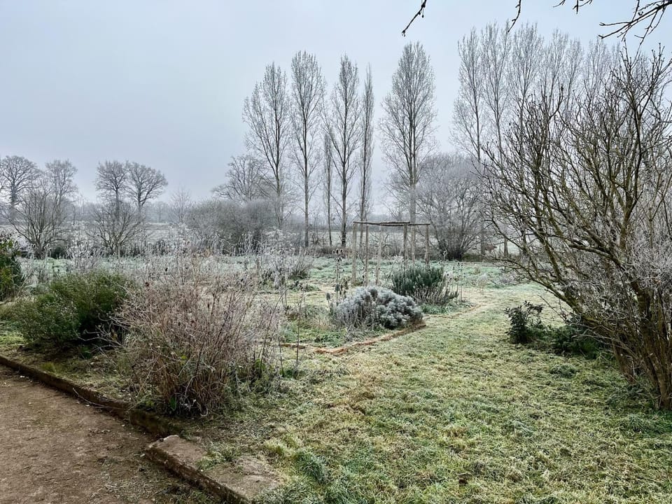 Garden, View (from property/room), Garden view