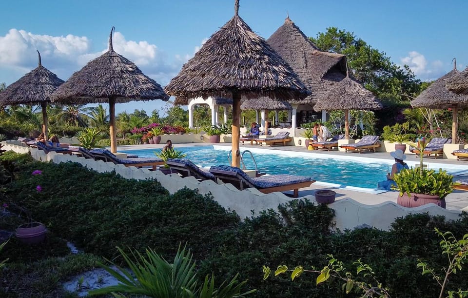 Day, Natural landscape, Garden, Pool view, Swimming pool, sunbed